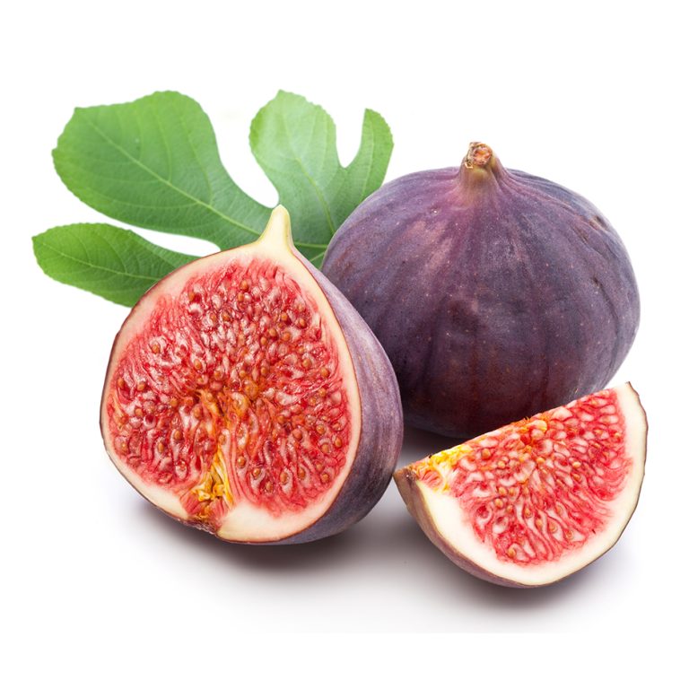 Fig